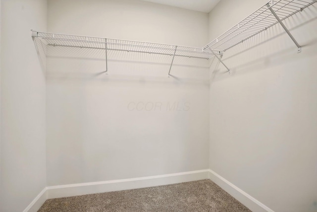 334 Woodland Ave, Columbus, OH 43203 - photo 29