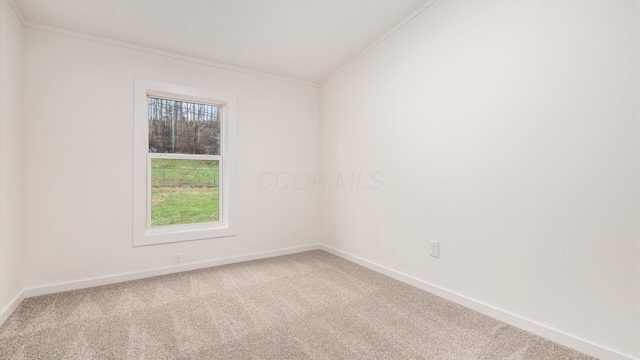 carpeted spare room featuring plenty of natural light, crown molding, and baseboards