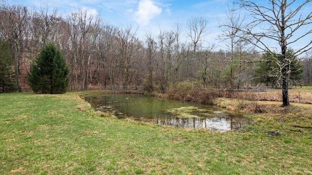 view of water feature featuring a wooded view