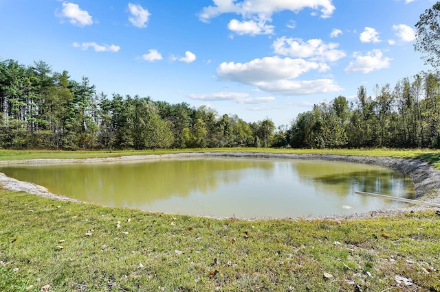 property view of water with a wooded view