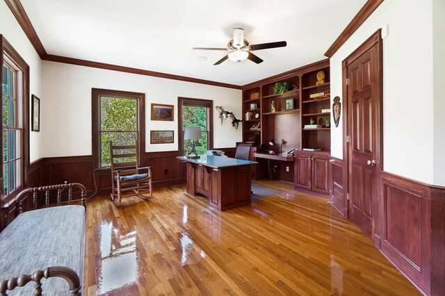 office with a wainscoted wall, light wood-type flooring, built in desk, ceiling fan, and ornamental molding