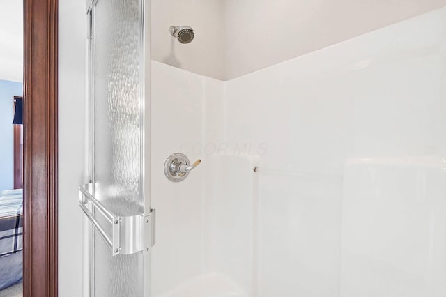 bathroom with a shower stall