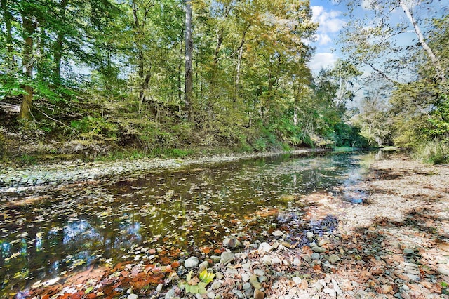 view of yard with a water view and a wooded view