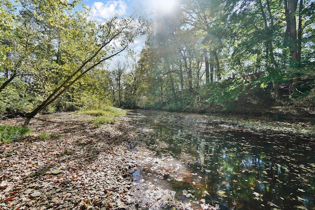 view of landscape with a water view and a view of trees