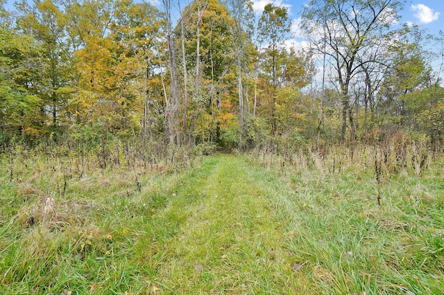 view of nature with a wooded view