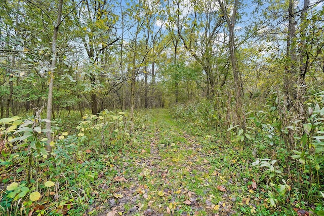 view of local wilderness featuring a forest view