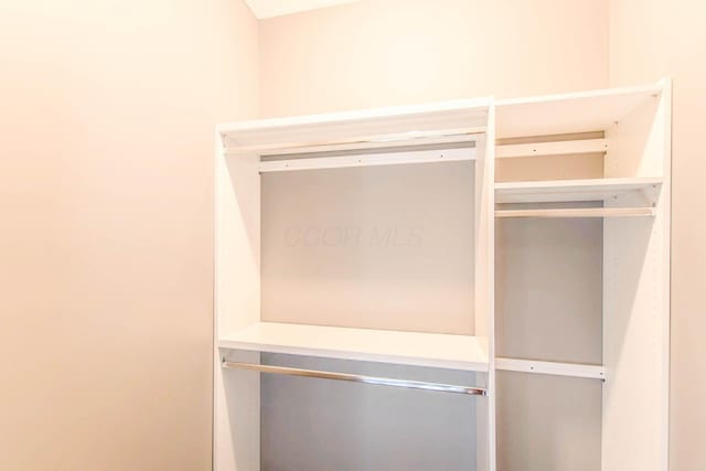 view of closet