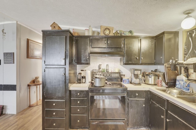 kitchen with light countertops, dark brown cabinets, under cabinet range hood, electric stove, and light wood finished floors