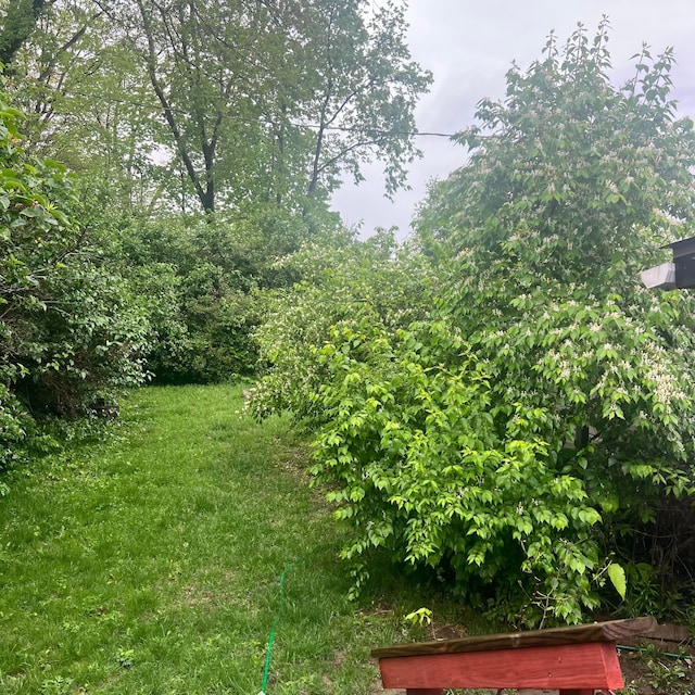 223 N Cherrywood Ave, Dayton, OH 45403 - photo 24