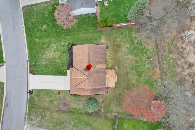 drone / aerial view