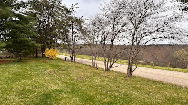 view of community with a yard