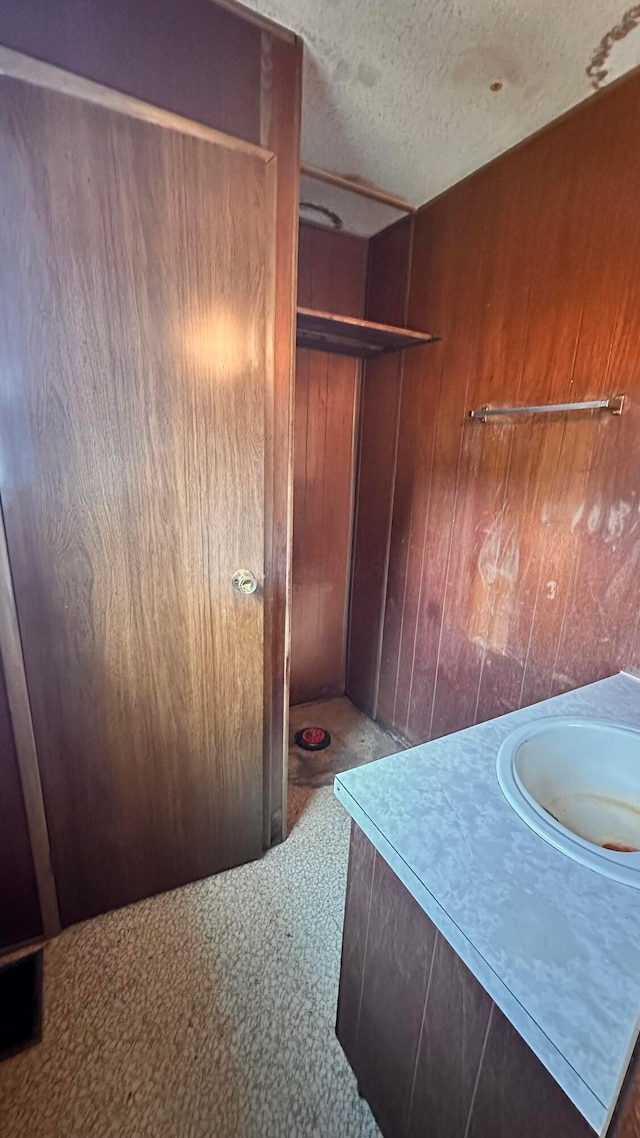 spacious closet featuring a sink and carpet