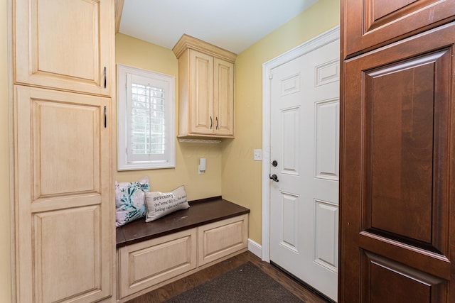 mudroom featuring dark wood-type flooring