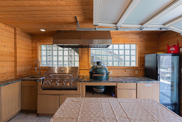 kitchen featuring wood walls, dark stone counters, a sink, ventilation hood, and freestanding refrigerator