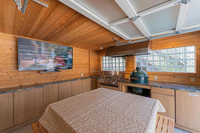 bedroom featuring wood ceiling, a sink, and wood walls