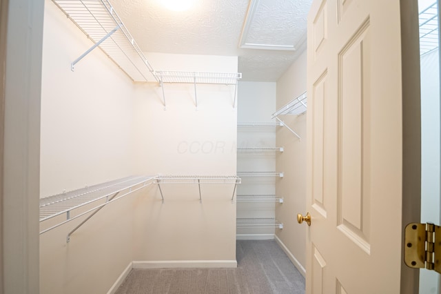 walk in closet with light carpet