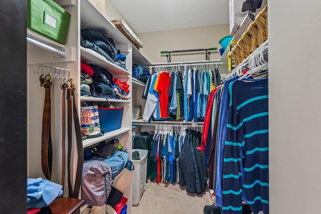 walk in closet with carpet flooring