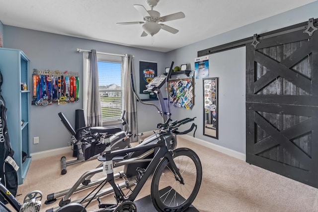 exercise area featuring baseboards, carpet floors, a barn door, and a ceiling fan