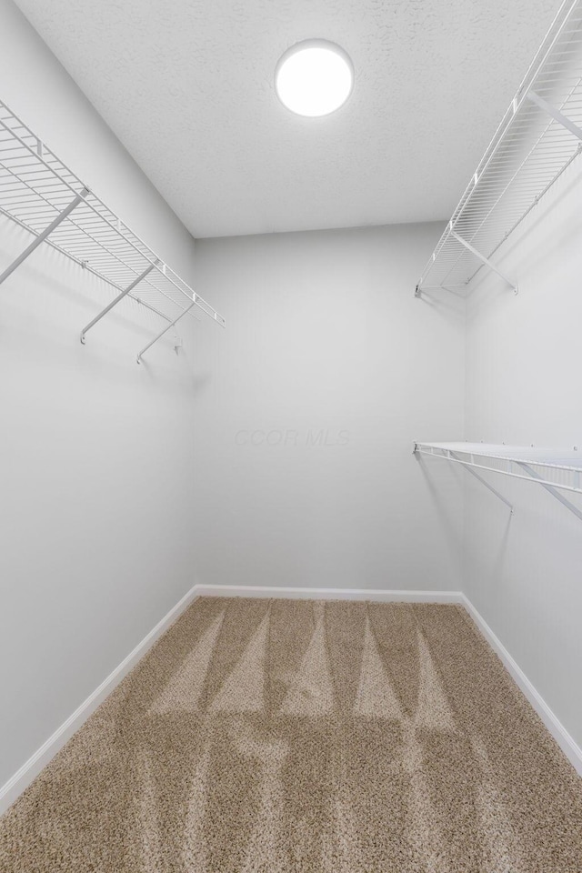 632 Tall Oaks Dr, Gahanna, OH 43230 - walk in closet with carpet flooring