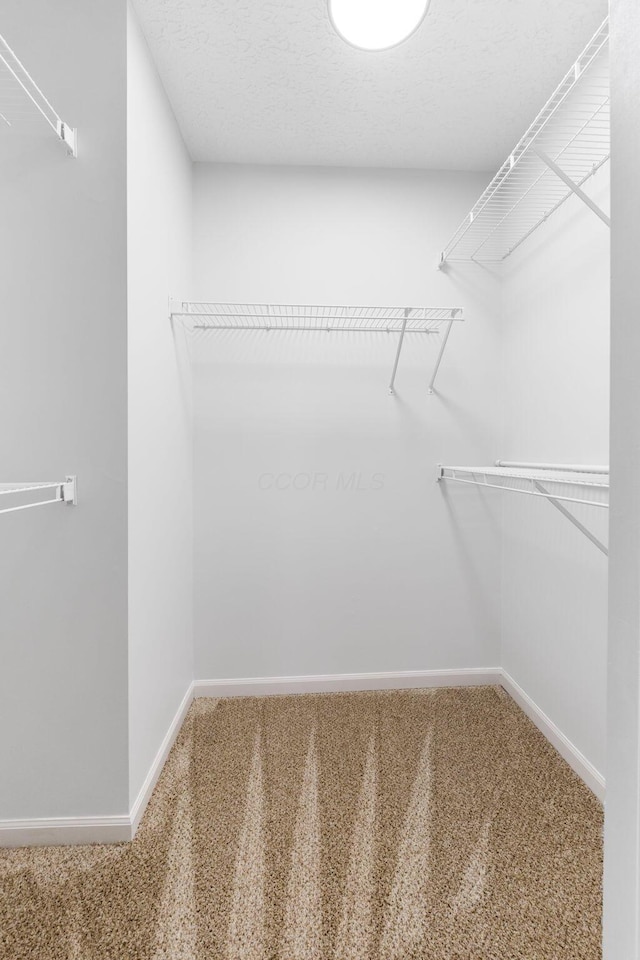 632 Tall Oaks Dr, Gahanna, OH 43230 - spacious closet featuring carpet floors