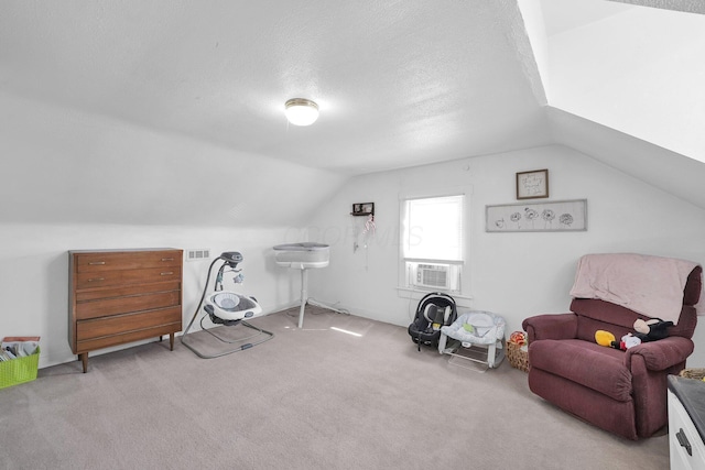 28 Elm St, Kingston, OH 45644 - playroom featuring lofted ceiling, cooling unit, carpet flooring, and a textured ceiling