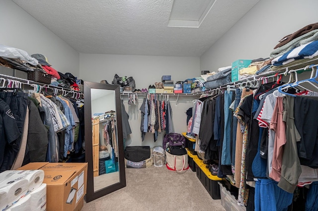 458 Madison Way, Plain City, OH 43064 - walk in closet with carpet floors and attic access