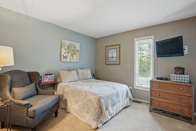 397 E Schrock Rd, Westerville, OH 43081 - bedroom featuring light carpet, baseboards, and visible vents