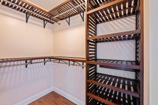 488 Springwood Lake Dr, Columbus, OH 43230 - spacious closet with wood finished floors