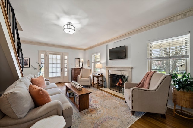 living room featuring ornamental molding, a fireplace, and wood finished floors