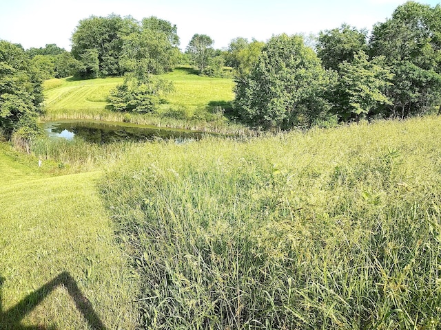 34601 Lake Rd, Mcarthur, OH 45651 - photo 68