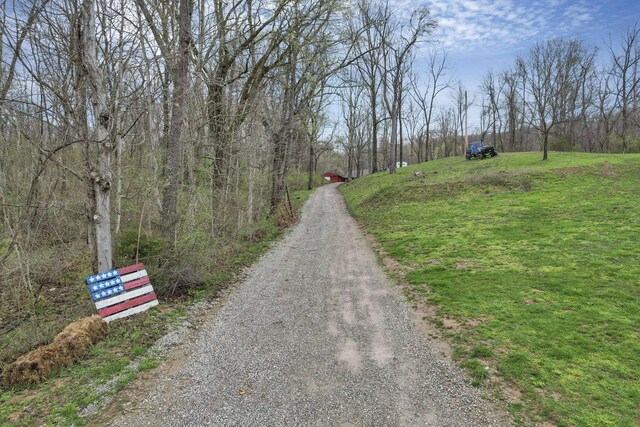 1335 Mingo Rd, Chillicothe, OH 45601 - view of dirt / gravel driveway featuring a view of trees