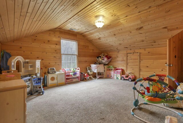 1335 Mingo Rd, Chillicothe, OH 45601 - recreation room featuring wooden walls, carpet, lofted ceiling, and wooden ceiling