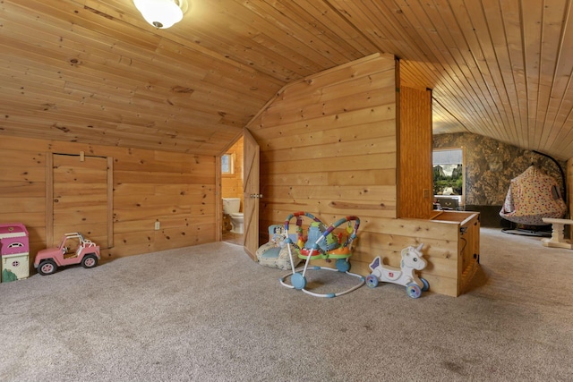 1335 Mingo Rd, Chillicothe, OH 45601 - bonus room featuring vaulted ceiling, carpet, wood walls, and wooden ceiling