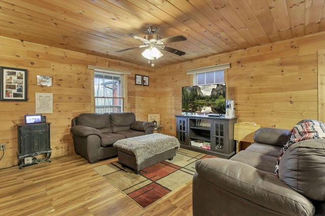 1335 Mingo Rd, Chillicothe, OH 45601 - living area with a ceiling fan, light wood finished floors, wood ceiling, and wood walls
