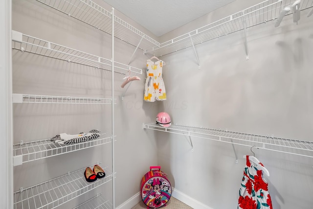 11061 Kingfisher Pl, Plain City, OH 43064 - view of walk in closet