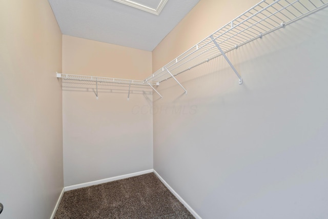 1218 Green Dr Unit 604, Columbus, OH 43230 - walk in closet featuring carpet flooring