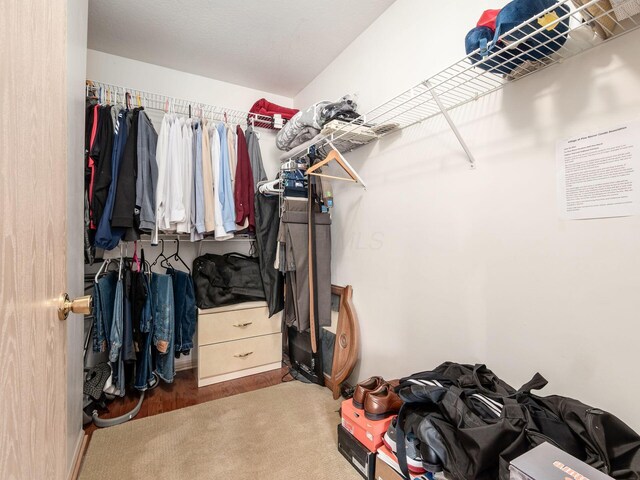 view of walk in closet