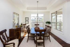 5165 Bluffton Way, Delaware, OH 43015 - dining space with baseboards, a tray ceiling, an inviting chandelier, and wood finished floors