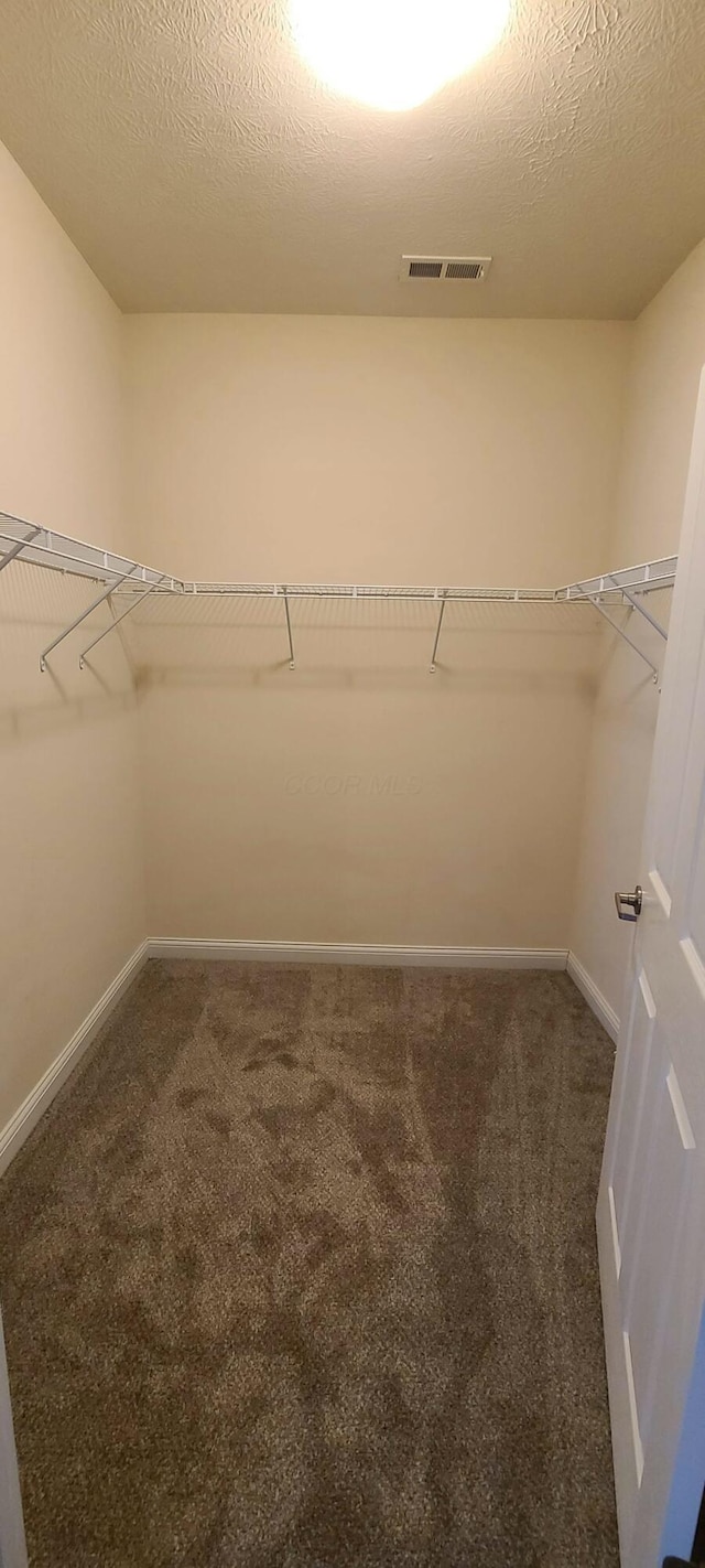 spacious closet featuring visible vents and carpet flooring