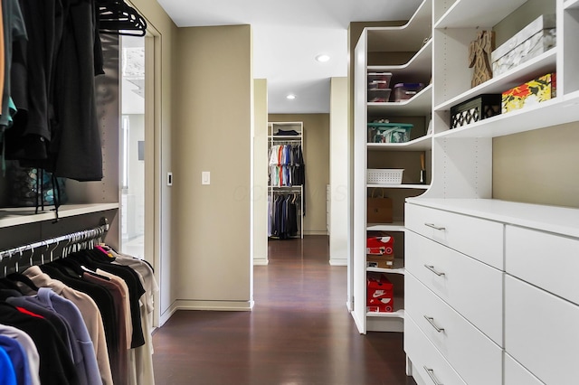 walk in closet featuring dark wood finished floors