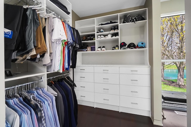 view of walk in closet