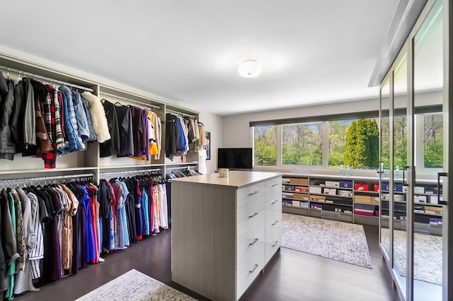 walk in closet featuring wood finished floors