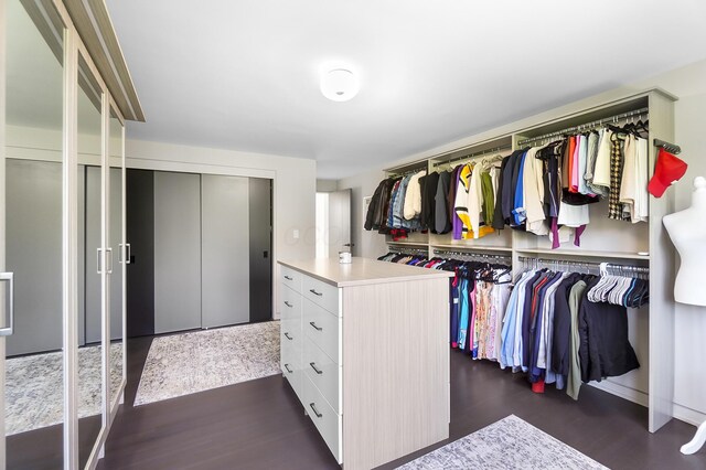 spacious closet featuring dark wood-type flooring