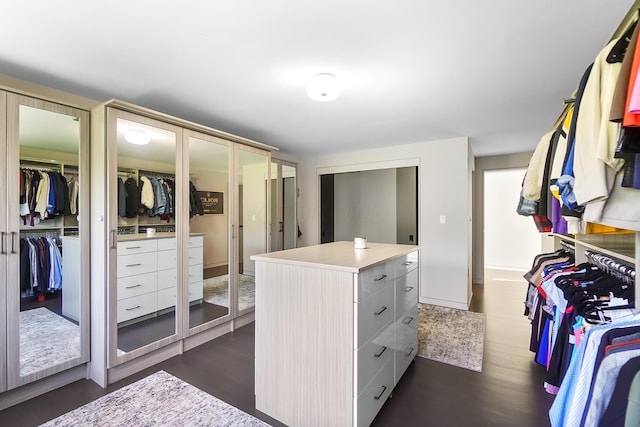 spacious closet featuring dark wood-style floors and french doors
