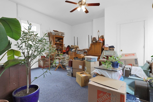 storage room featuring ceiling fan