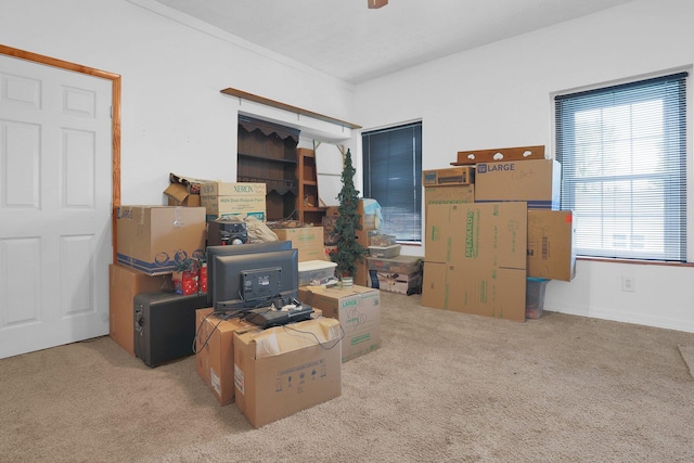 storage room with a ceiling fan