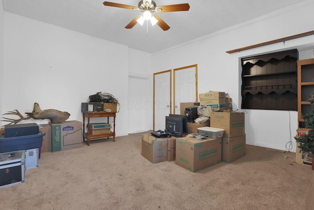 storage featuring a ceiling fan