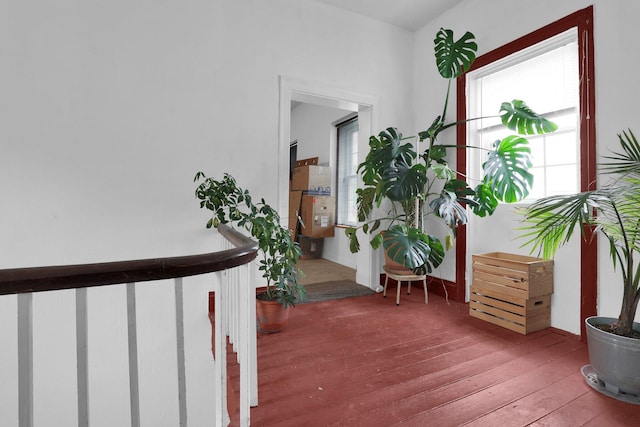 corridor featuring hardwood / wood-style flooring