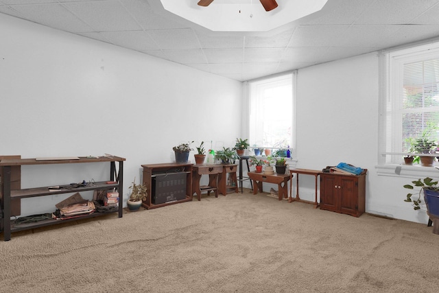 miscellaneous room featuring a drop ceiling, carpet flooring, and ceiling fan