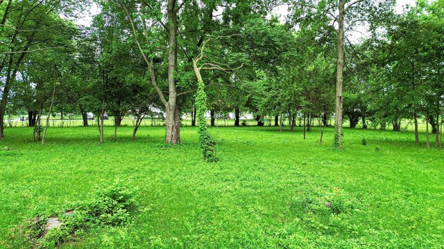 58 Blueview Dr SW, Etna, OH 43068 - photo 11